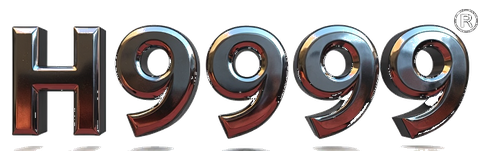 h9999 logo